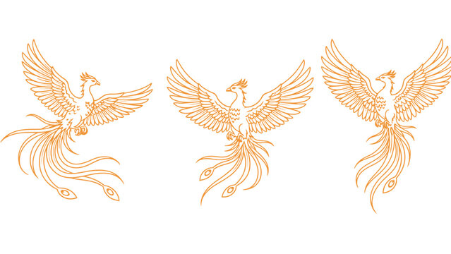 Three golden phoenix birds in flight on a white background