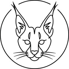 Fototapeta premium Black and white cat face inside a circle
