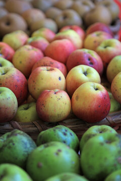 manzana variedad de clase a la venta en el mercado rural pa&iacute;s vasco 4M0A1324-as26
