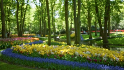 Fototapeta premium Blurred flowers in a green park with trees create a serene and dreamy atmosphere, capturing the essence of nature's beauty in a bokeh effect under the sunlight.