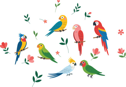 Colorful tropical birds illustration set with parrots and floral elements, cute cartoon style wildlife collection for kids design, nature decor and spring themes vector