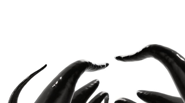 black 3d tentacles on white background video