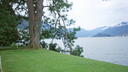 Lakeside park scene with grassy foreground, prominent tree trunk and soft defocused shoreline and distant mountains, gentle bokeh background park; background backdrop copyspace template.