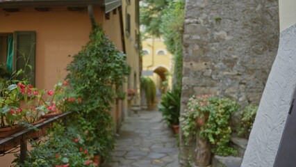 Obraz premium Narrow stone alley with potted plants, terracotta walls and distant archway, softly defocused bokeh alley; background backplate calm.