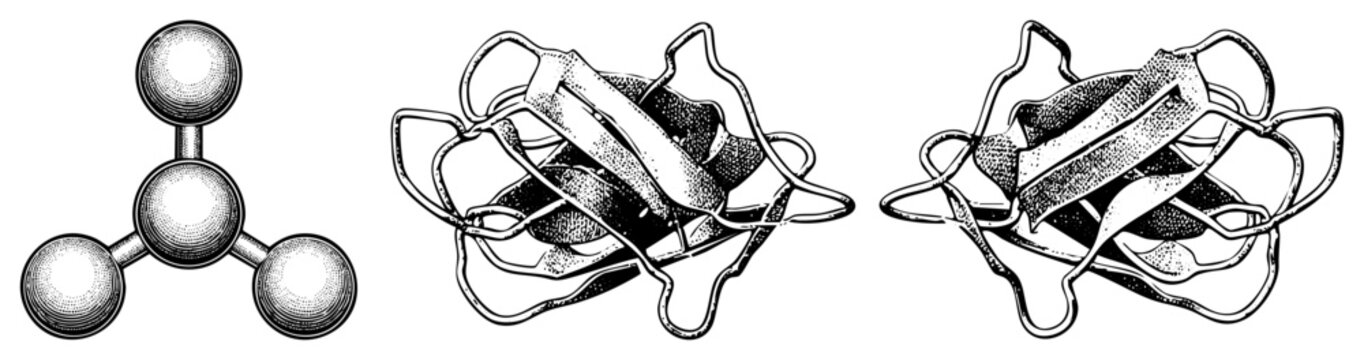 Molecular Structure and Protein Folding Visualization