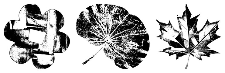 Three Stylized Leaves in Halftone Vector Design with Transparent Background