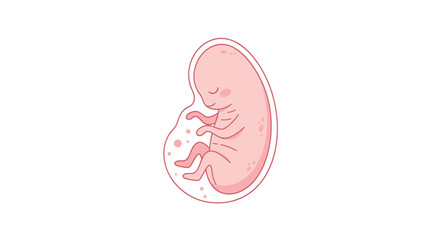 Fototapeta premium A cute and simple cartoon illustration of a smiling human fetus developing inside the amniotic sac, isolated on a white background.