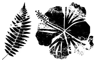Stylized Fern Leaf and Hibiscus Flower Silhouettes with Grunge Texture