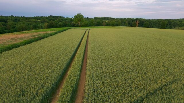 A high-resolution aerial drone shot capturing the geometric patterns of tractor tracks winding through a lush green barley field in the French countryside. The scene highlights the intersection of agr