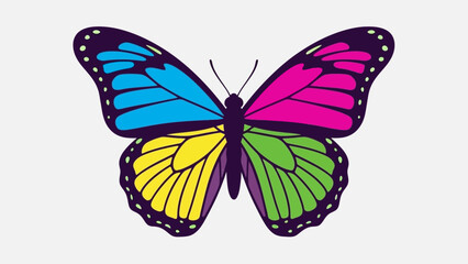 Obraz premium Colorful Butterfly Illustration - Vector Art