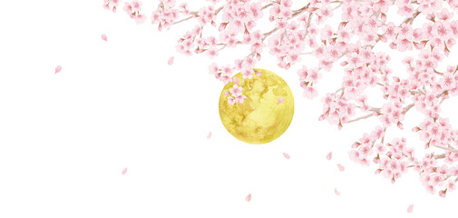 夜桜と満月Japanese night cherry blossoms and full moon background. Watercolor sakura branches with copy space for spring lunar landscape.-300dpi- © URU