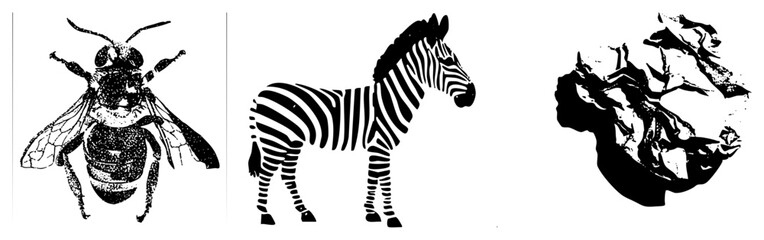 Fototapeta premium Three Black and White Animal Silhouettes with Textured