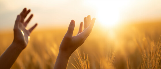 hands reaching toward sunlight in a wheat field at sunset, warm golden glow, sun flare, soft background bokeh, hands placed on the left third, large clean copy space on the right w