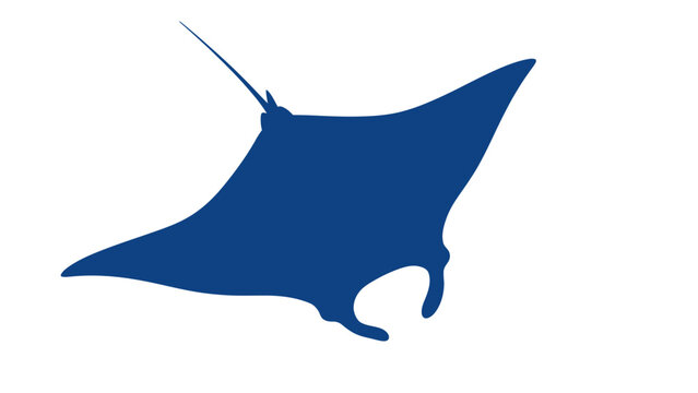 Blue Manta Ray Silhouette Flying Underwater Ocean Animal Vector Icon