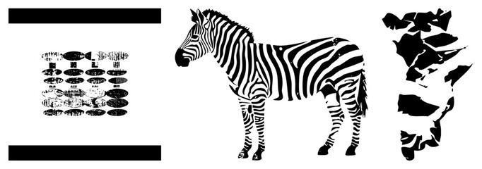 Fototapeta premium Zebra Silhouette with African Continent Map and Vintage Fish