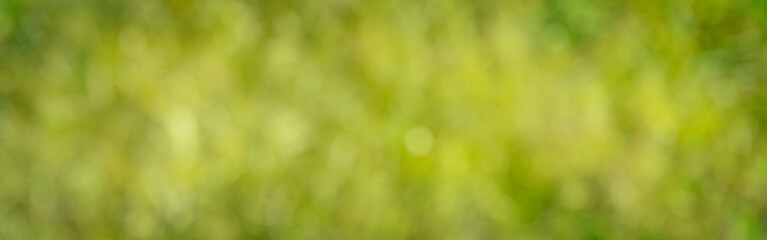 Obraz premium Abstract light green texture with blurred pattern and bokeh. Horizontal fresh spring and easter background.