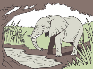 elephant in the woods