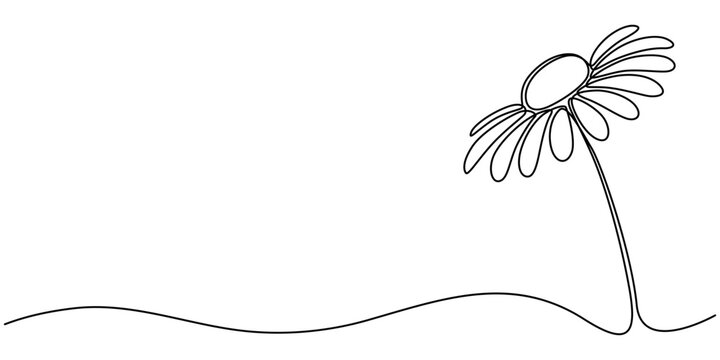 Daisy or gerbera flower on a stem in continuous one line art style. Plant sketch with editable black stroke on white background. Vector illustration.