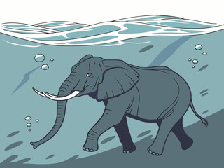 elephant in the water