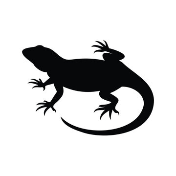 Black and white silhouette of a lizard vector illustration, A detailed black and white silhouette of a lizard in a vector illustration