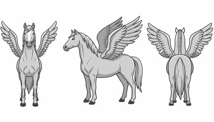 Fototapeta premium Silhouette illustrations of majestic winged Pegasus horse in three views.