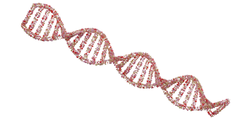 Abstract 3D digital DNA helix structure background. Transparent background. 3D rendering.