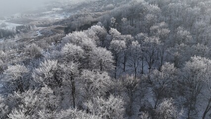Fototapeta premium Aerial view of forest landscape, winter time with frozen white trees