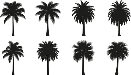 Diverse Tropical Palm Tree Silhouettes Set on a Clean White Background
