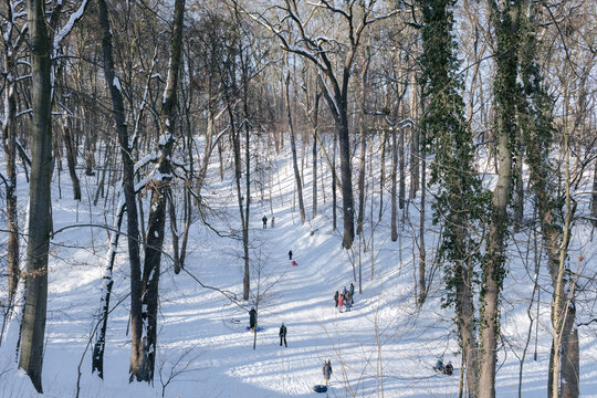 people skating in the park in winter