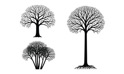 Fototapeta premium Black tree silhouette collection, leafless winter trees, bare branches illustration, nature vector set, isolated forest shapes, minimal botanical design