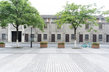 Obraz premium Shady trees on the street in front of old buildings