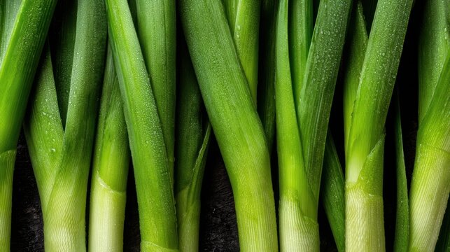 Bunch of green onions are shown in a close up. The onions are fresh and crisp, and they are arranged in a row. Concept of freshness and health, as the green onions are a nutritious