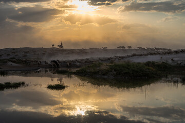 sunrise over the river