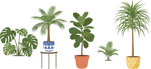 Indoor houseplant illustration set featuring potted tropical plants, palms, monstera, and decorative greenery for home interior design in flat vector style