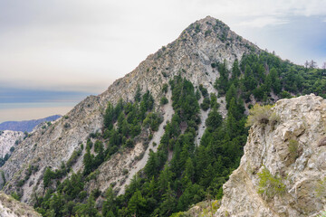 Obraz premium Majestic Pyramid-Shaped Mountain Peak with Pine Trees
