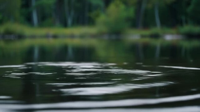 Red maple leaf falling and sinking into water