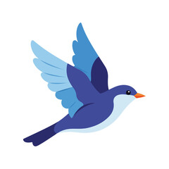 Fototapeta premium Bird in flight with blue wings and white chest