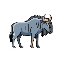 Fototapeta premium Wildebeest standing isolated on white background