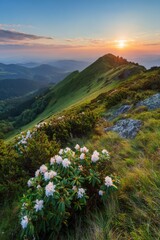 Fototapeta premium Sunset over mountain ridge with blooming flowers and rolling hills landscape