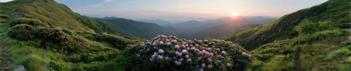Fototapeta premium Serene mountain landscape at sunrise with blooming wildflowers