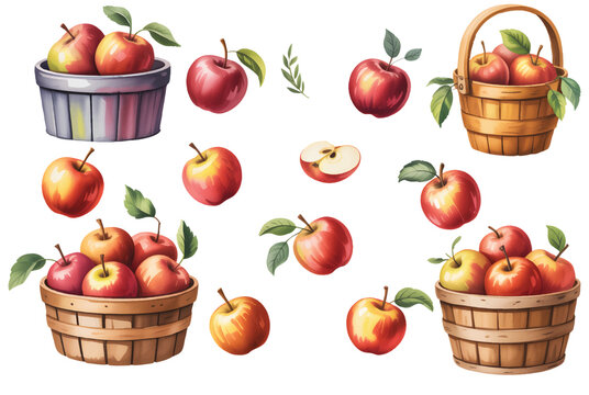 Autumn apple harvest scene with baskets and scattered fruits in gentle watercolor tones.