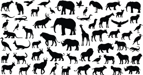 Obraz premium Wildlife Animal Silhouettes Collection
