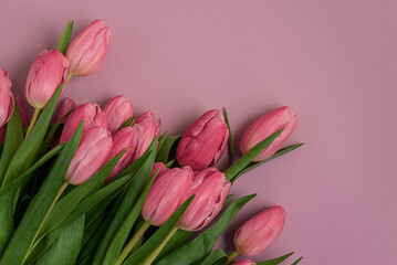 Obraz premium Pink Tulip Bouquet on Soft Pink Background. Elegant Spring Floral Flatlay for Valentines, Mothers or 8 March Day Celebration