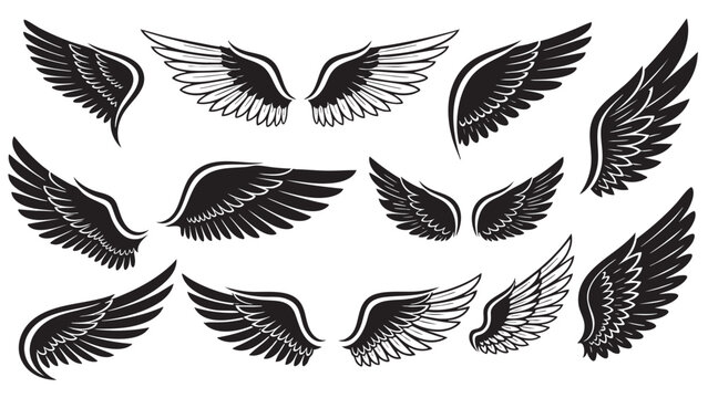 Set of detailed black bird wings isolated on transparent background