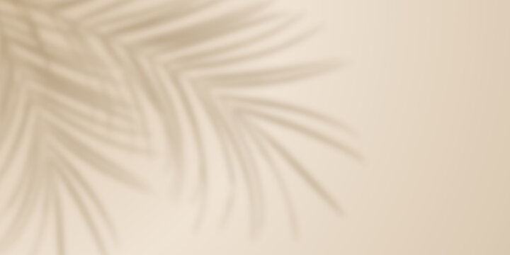 Palm leaf shadow on beige wall background. Blurred tropical plant leaves shadow beige background. Minimalist nature summer spring background for beauty, cosmetic, skincare, product presentation