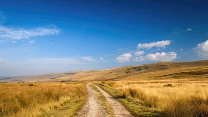 Obraz premium Gravel country road winding through golden grassland with rolling hills under a clear blue sky. Concept Gravel country road, Golden grassland, Rolling hills, Clear blue sky, Scenic rural landscape