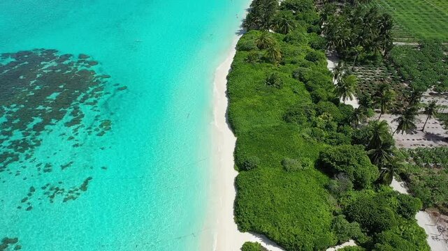 Thoddoo Beach Maldives