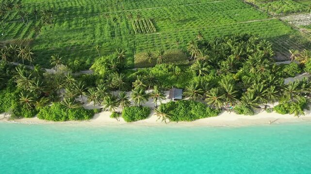 Thoddoo Island Maldives