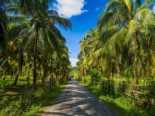 Obraz premium Andaman and Nicobar islands India, winter trip photos 