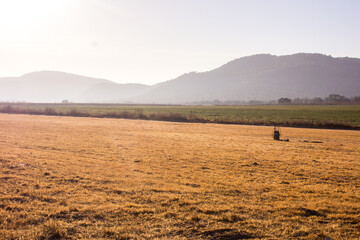 Early morning view over a field with the hazy ridges of the Vredesfort Dome in the background, Rural Free State Province South Africa. T © Marieke